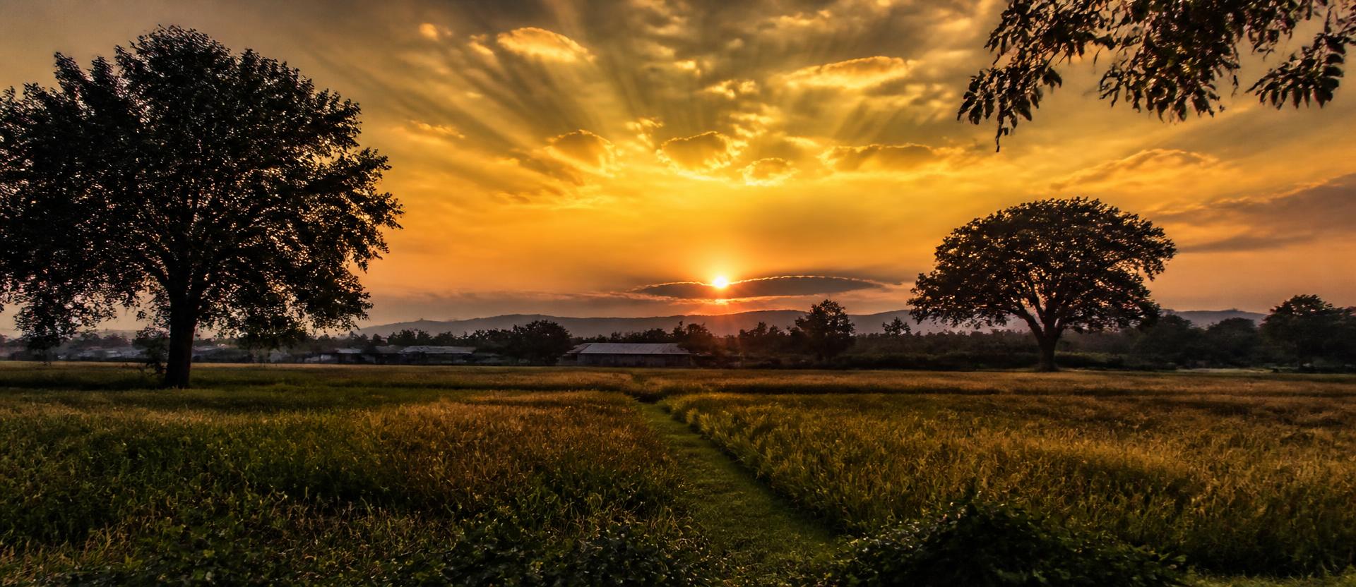 Sunset over Telangana farmland